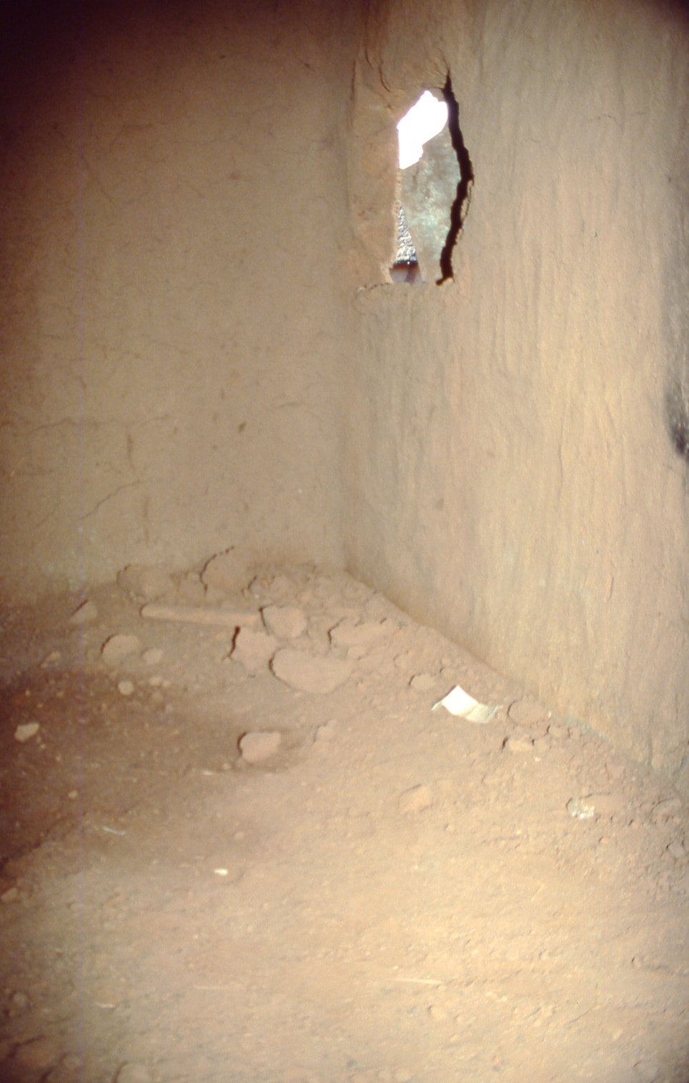 Diarilana funeral